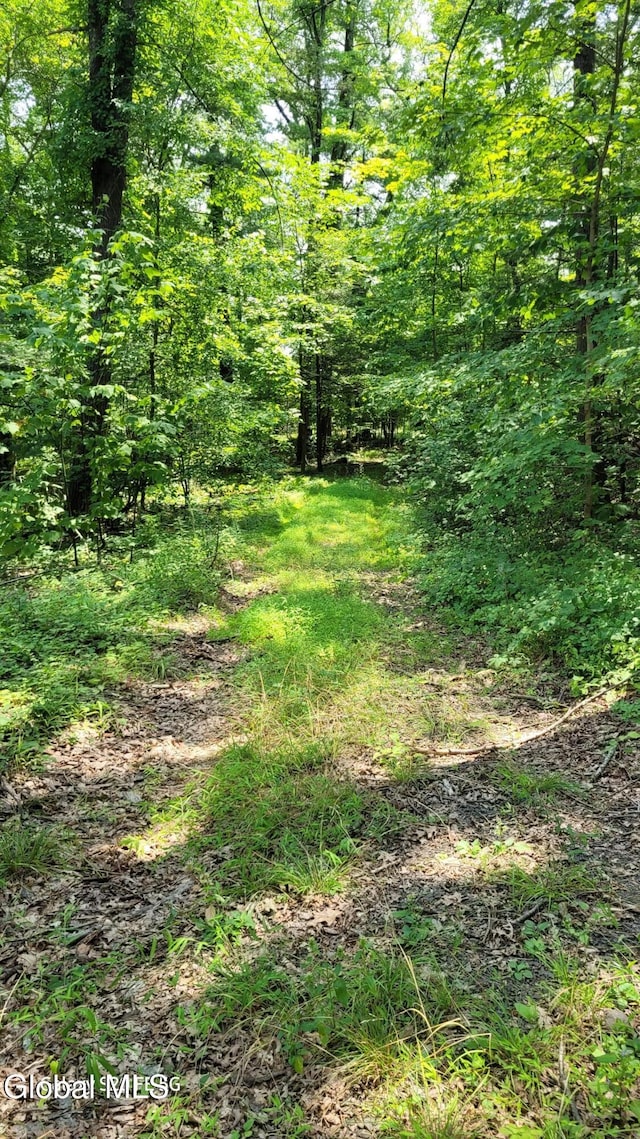 50 Finger Hill Rd, Saugerties, NY 12477 - photo 5
