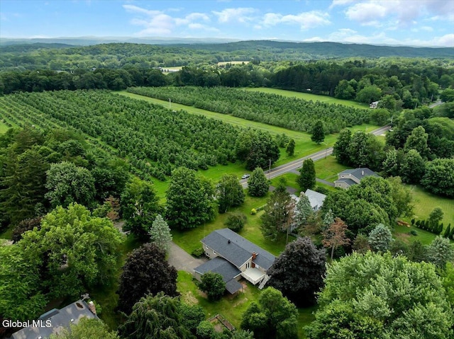 95 Albany Ave, Kinderhook Village, NY 12106 - photo 27