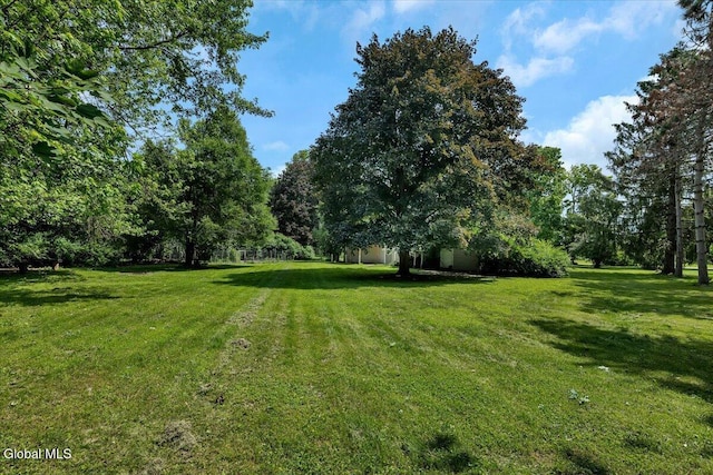 95 Albany Ave, Kinderhook Village, NY 12106 - photo 23