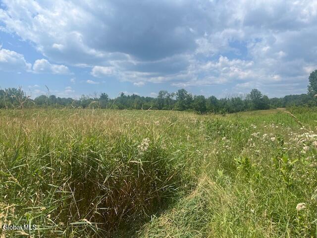 270 Clove Rd, Schodack, NY 12033 - photo 3