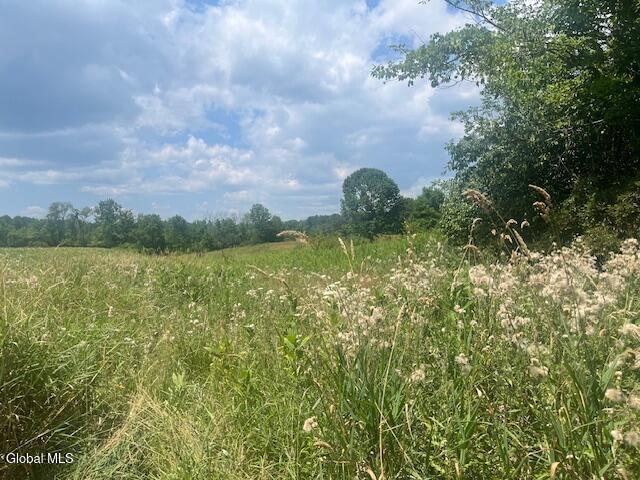 270 Clove Rd, Schodack, NY 12033 - photo 4