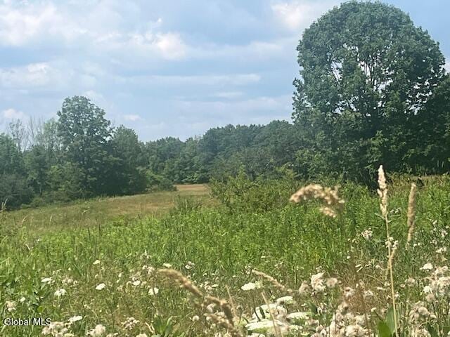 270 Clove Rd, Schodack, NY 12033 - photo 5