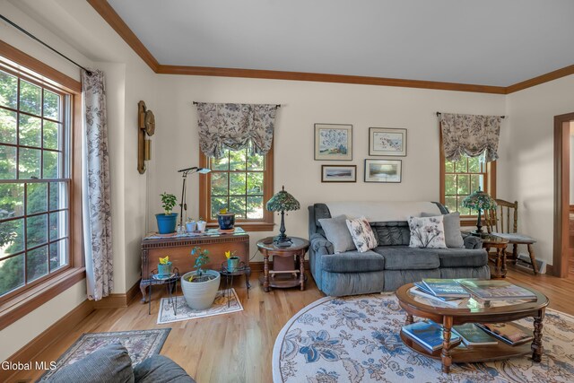 8 Tansey Ct, North Greenbush, NY 12198 - photo 24