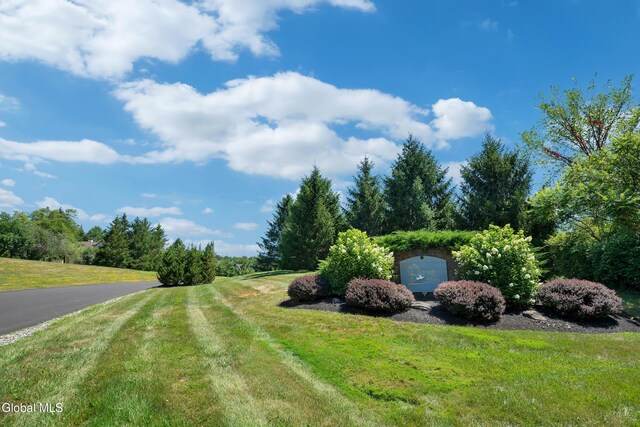 8 Tansey Ct, North Greenbush, NY 12198 - photo 62