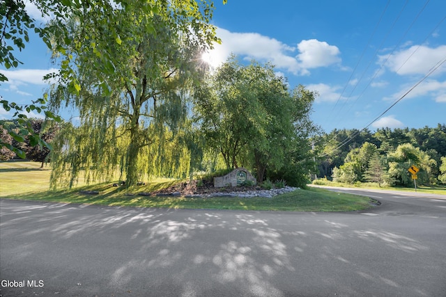 8 Tansey Ct, North Greenbush, NY 12198 - photo 63