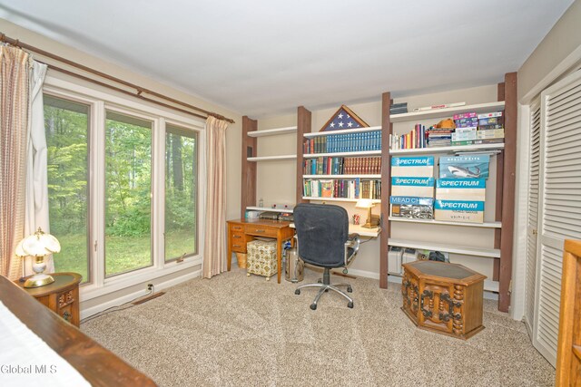 5 Stonegate Rd, Clifton Park, NY 12019 - photo 27
