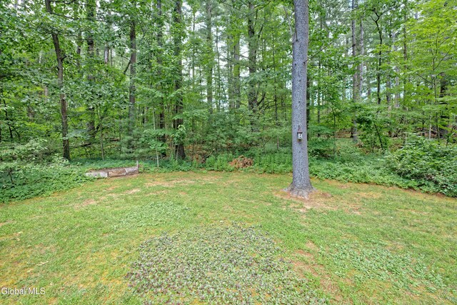 5 Stonegate Rd, Clifton Park, NY 12019 - photo 47