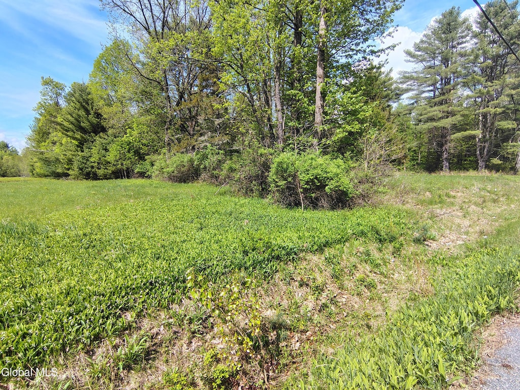 251 Porter Corners Rd, Greenfield, NY 12859 - photo 1