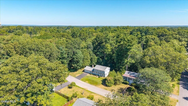 20 Linda Ct, Bethlehem, NY 12054 - photo 47