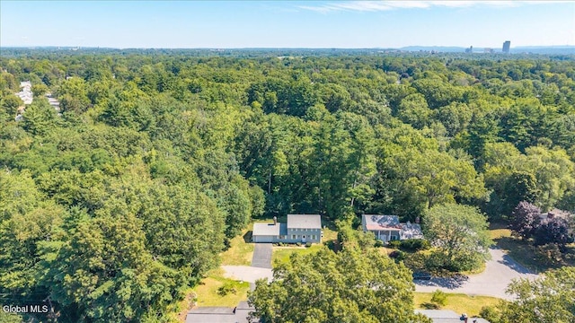 20 Linda Ct, Bethlehem, NY 12054 - photo 46
