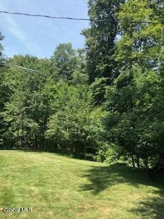 20 Linda Ct, Bethlehem, NY 12054 - photo 43