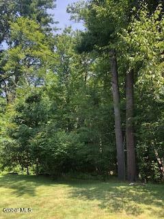 20 Linda Ct, Bethlehem, NY 12054 - photo 44