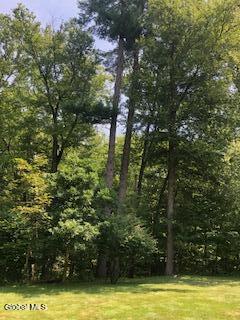 20 Linda Ct, Bethlehem, NY 12054 - photo 45