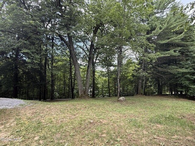 97 Lake Nebo Rd, Fort Ann, NY 12827 - photo 19
