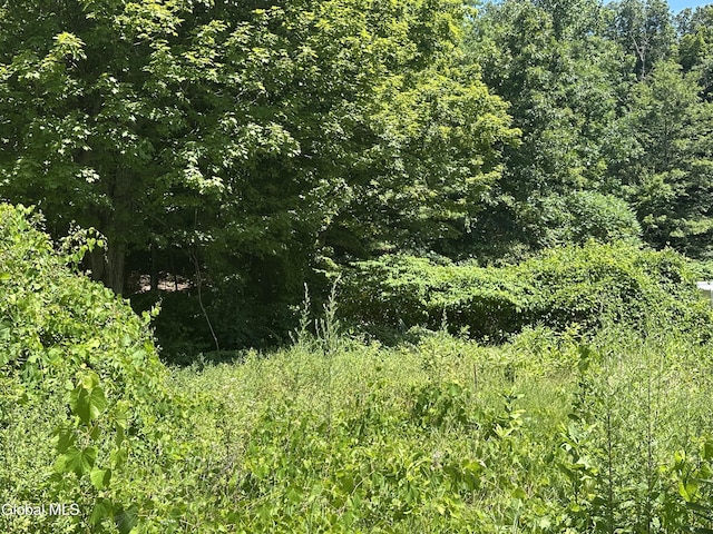 00 Rte 9, Lake George, NY 12845 - photo 1