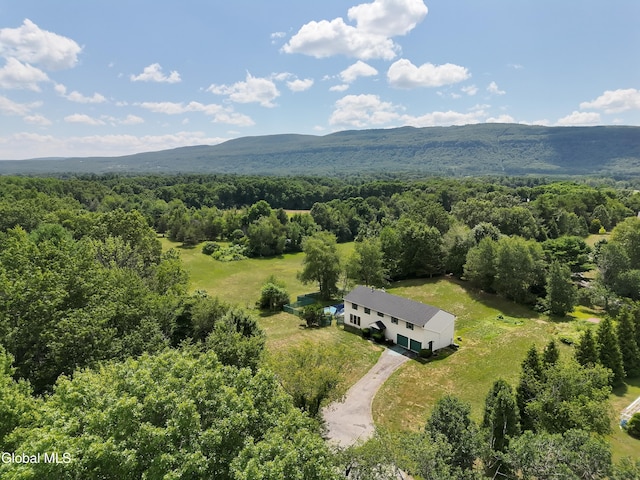 16 Theresa Ln, Voorheesville, NY 12186 - photo 1