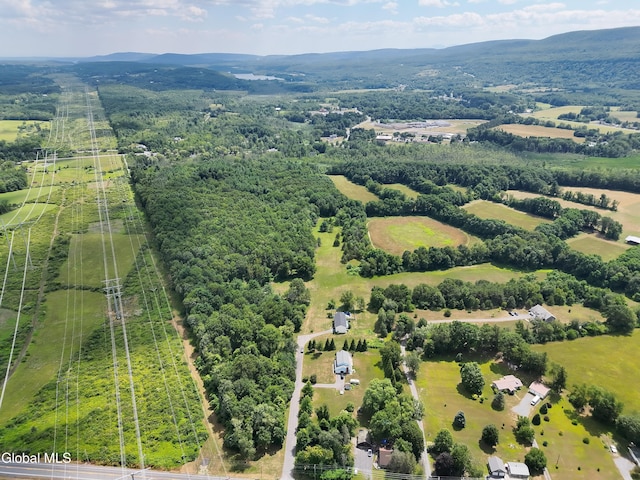 16 Theresa Ln, Voorheesville, NY 12186 - photo 8