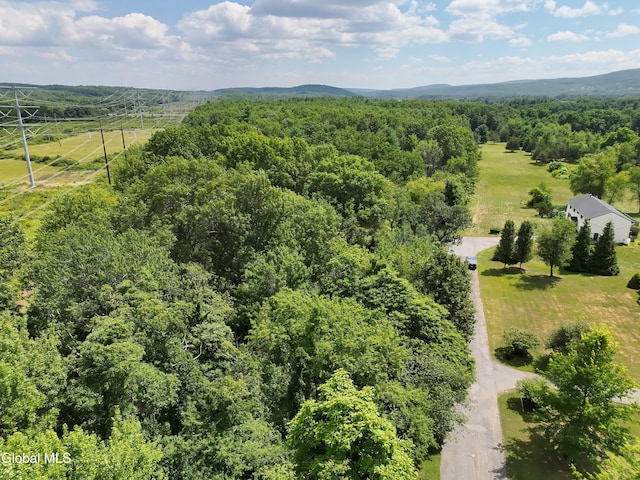 16 Theresa Ln, Voorheesville, NY 12186 - photo 11