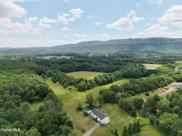 16 Theresa Ln, Voorheesville, NY 12186 - photo 12