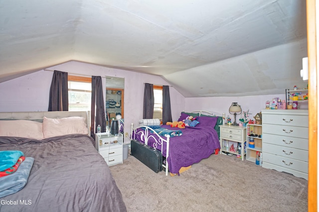 450 Mabie Ln, Schenectady, NY 12306 - photo 18