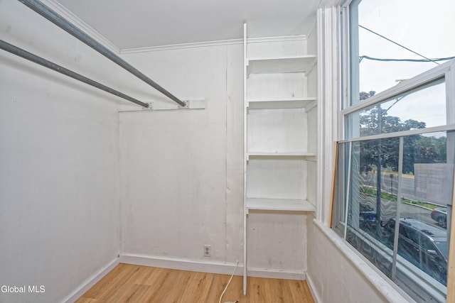 391 Washington Ave, Albany, NY 12206 - photo 17