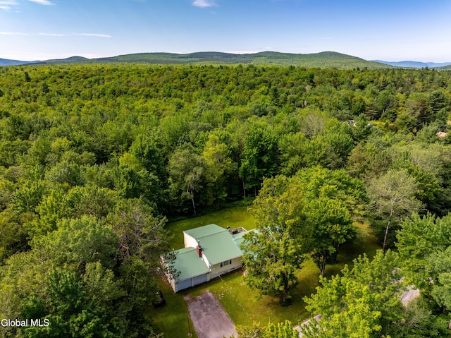 400 Stone Store Rd, Broome, NY 12122 - photo 3