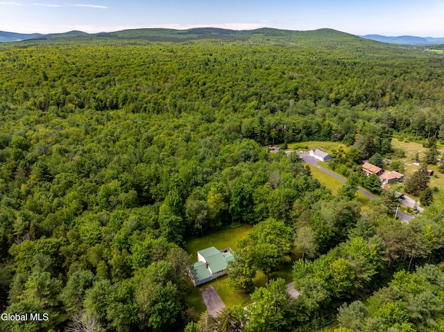 400 Stone Store Rd, Broome, NY 12122 - photo 4