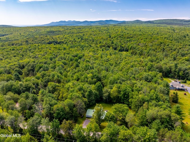 400 Stone Store Rd, Broome, NY 12122 - photo 5