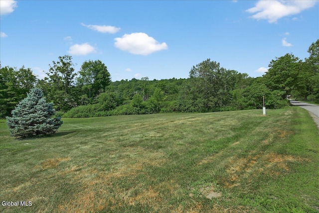 415 Ryan Rd, Greenwich, NY 12834 - photo 25
