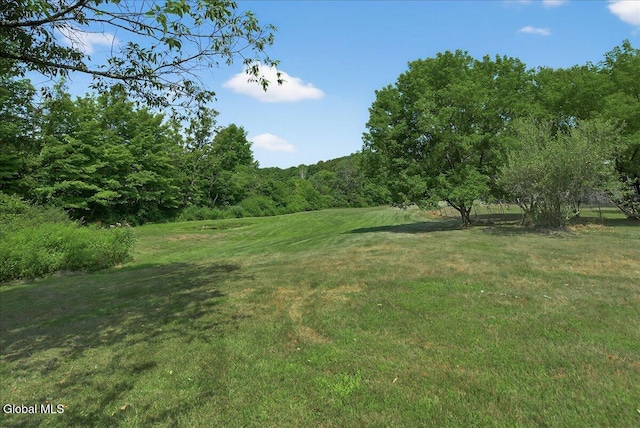 415 Ryan Rd, Greenwich, NY 12834 - photo 32
