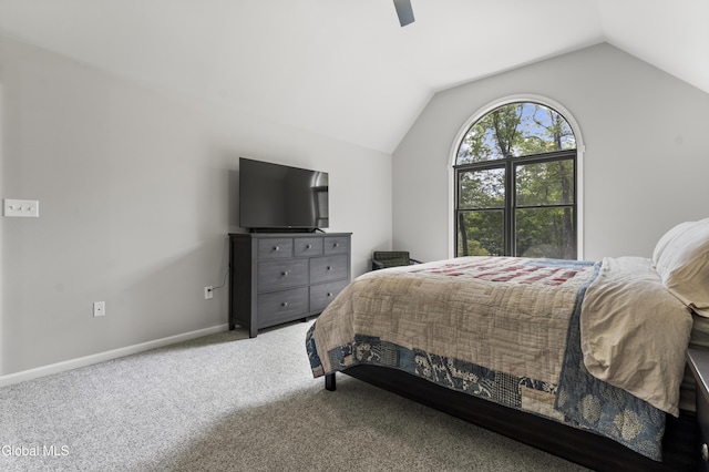 12 Bog Meadow Run, Saratoga, NY 12866 - photo 39