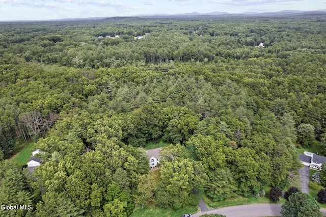 12 Bog Meadow Run, Saratoga, NY 12866 - photo 6