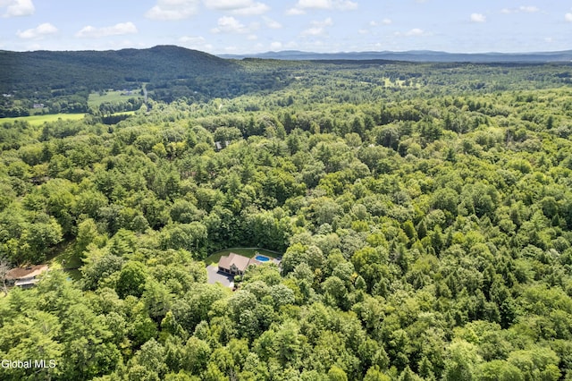 82 Pickle Hill Rd, Queensbury, NY 12804 - photo 39