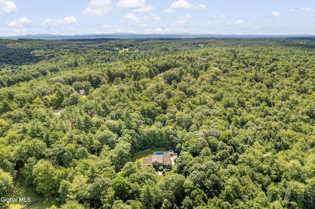 82 Pickle Hill Rd, Queensbury, NY 12804 - photo 41