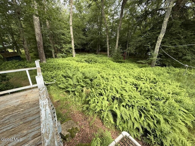 15 Pine Ln, Berlin, NY 12138 - photo 21