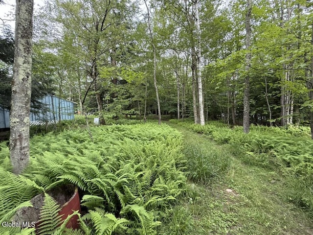 15 Pine Ln, Berlin, NY 12138 - photo 27