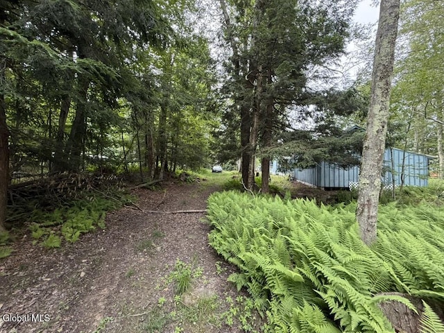 15 Pine Ln, Berlin, NY 12138 - photo 28