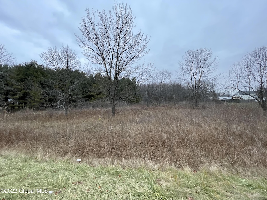 L71 Middletown Rd, Waterford, NY 12188 - photo 2