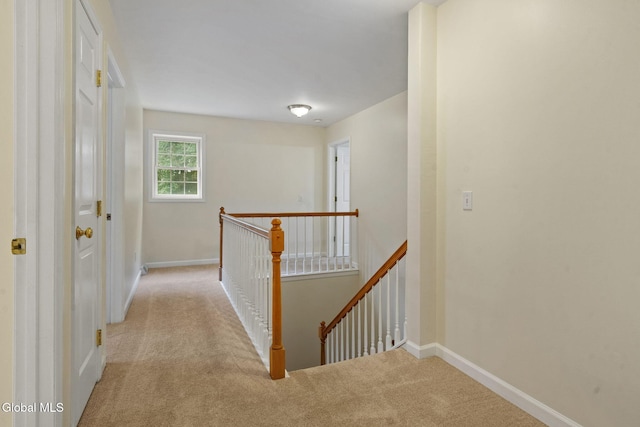 57 Willowbrook Ter, Halfmoon, NY 12065 - photo 27