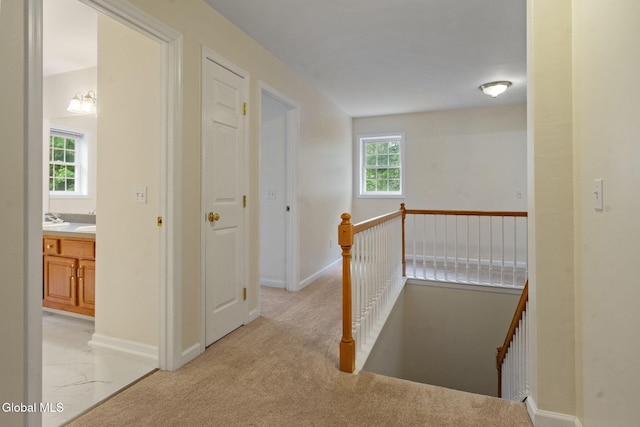 57 Willowbrook Ter, Halfmoon, NY 12065 - photo 28