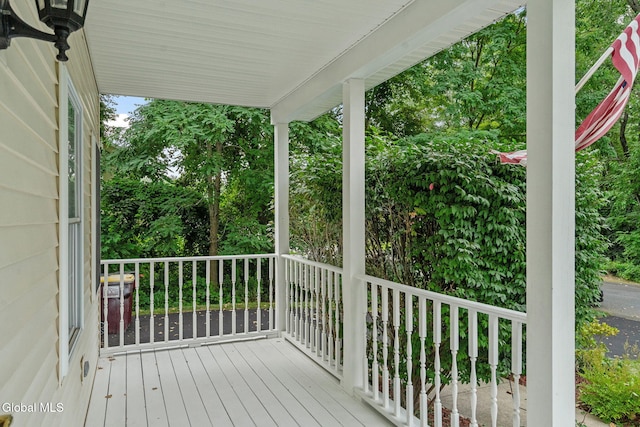 57 Willowbrook Ter, Halfmoon, NY 12065 - photo 3