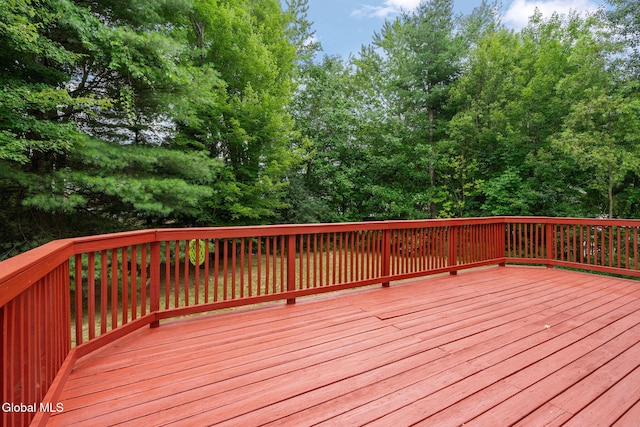 57 Willowbrook Ter, Halfmoon, NY 12065 - photo 61