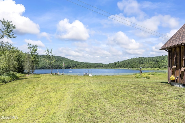 679 Valentine Pond Rd, Horicon, NY 12860 - photo 62