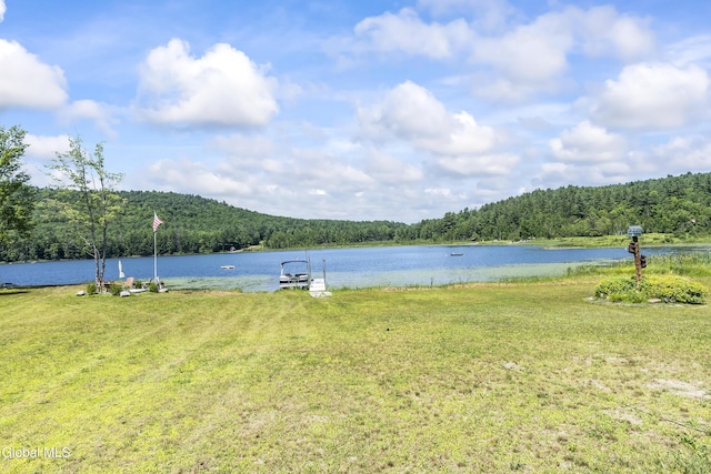 679 Valentine Pond Rd, Horicon, NY 12860 - photo 11