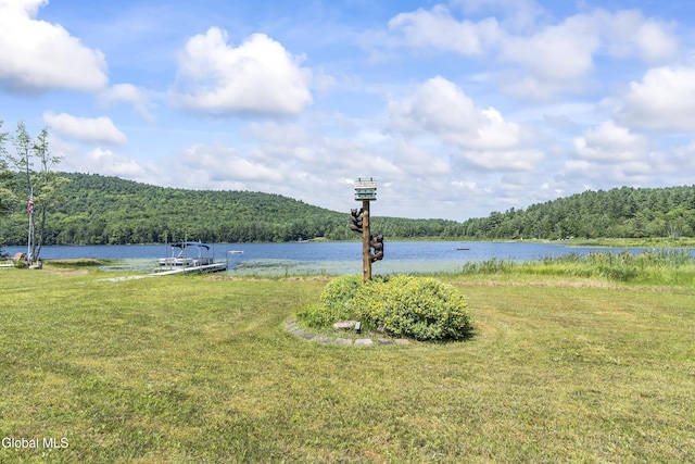 679 Valentine Pond Rd, Horicon, NY 12860 - photo 12