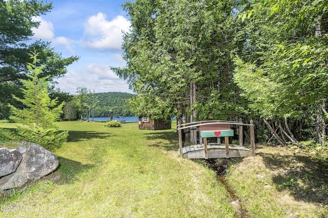 679 Valentine Pond Rd, Horicon, NY 12860 - photo 5