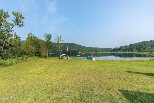 679 Valentine Pond Rd, Horicon, NY 12860 - photo 70