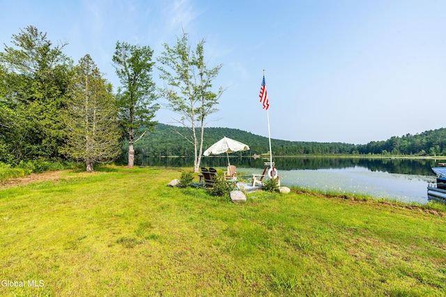 679 Valentine Pond Rd, Horicon, NY 12860 - photo 6
