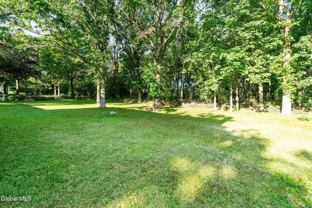 149 Horstman Dr, Glenville, NY 12302 - photo 45