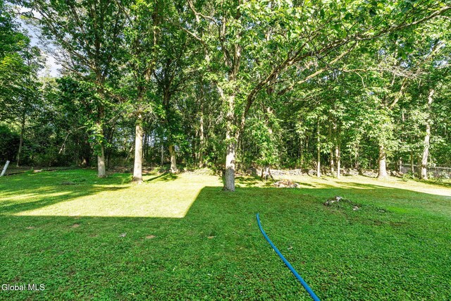 149 Horstman Dr, Glenville, NY 12302 - photo 50